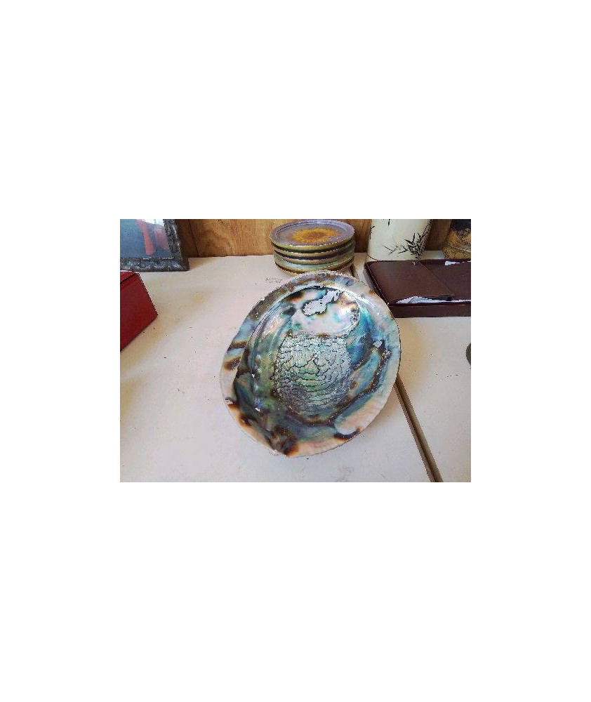 VIDE POCHE COQUILLAGE 