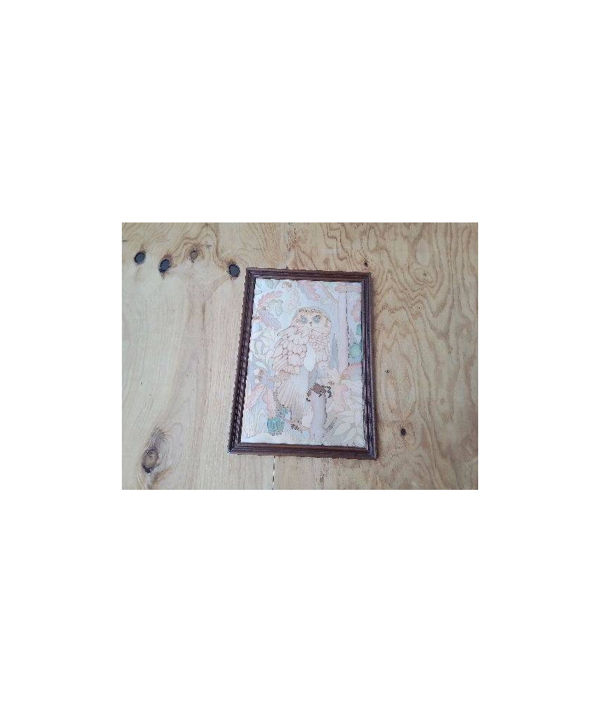 CADRE HIBOU 