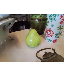 MINUTEUR CUISINE 