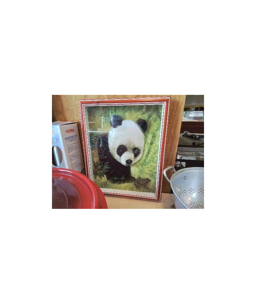 CADRE DECO PANDA