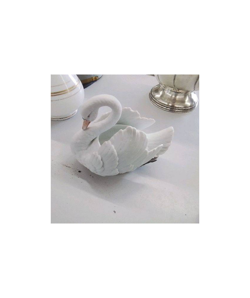 CYGNE BISCUIT 