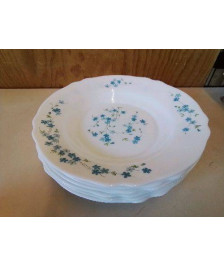 LOT DE 7 ASSIETTES MYOSOTIS 
