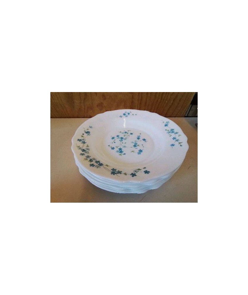 LOT DE 7 ASSIETTES MYOSOTIS 