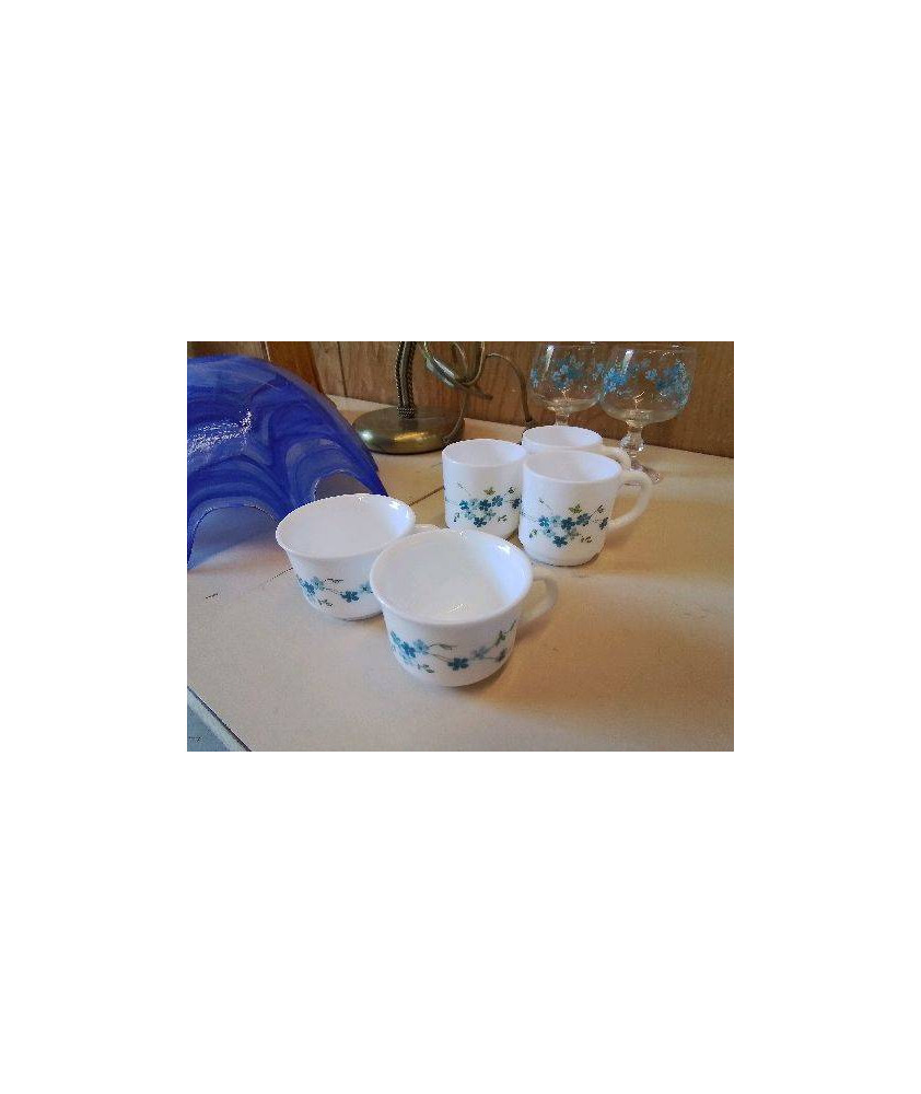 TASSE MYOSOTIS