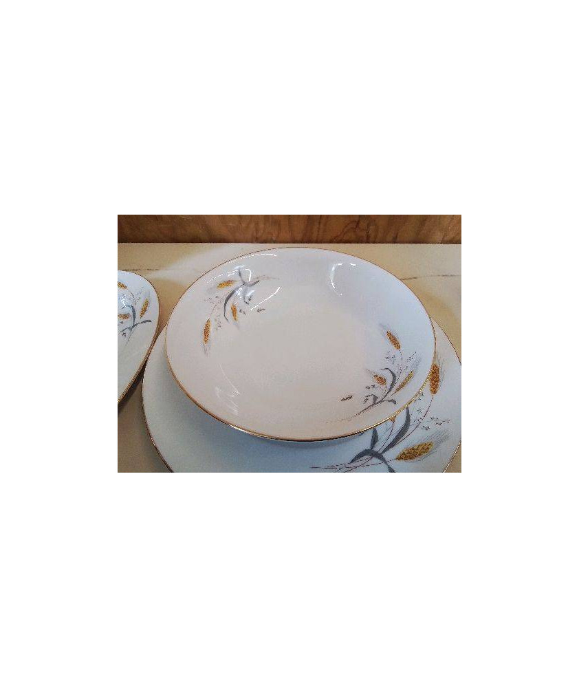 PLAT EN PORCELAINE 