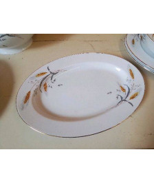 PLAT EN PORCELAINE 
