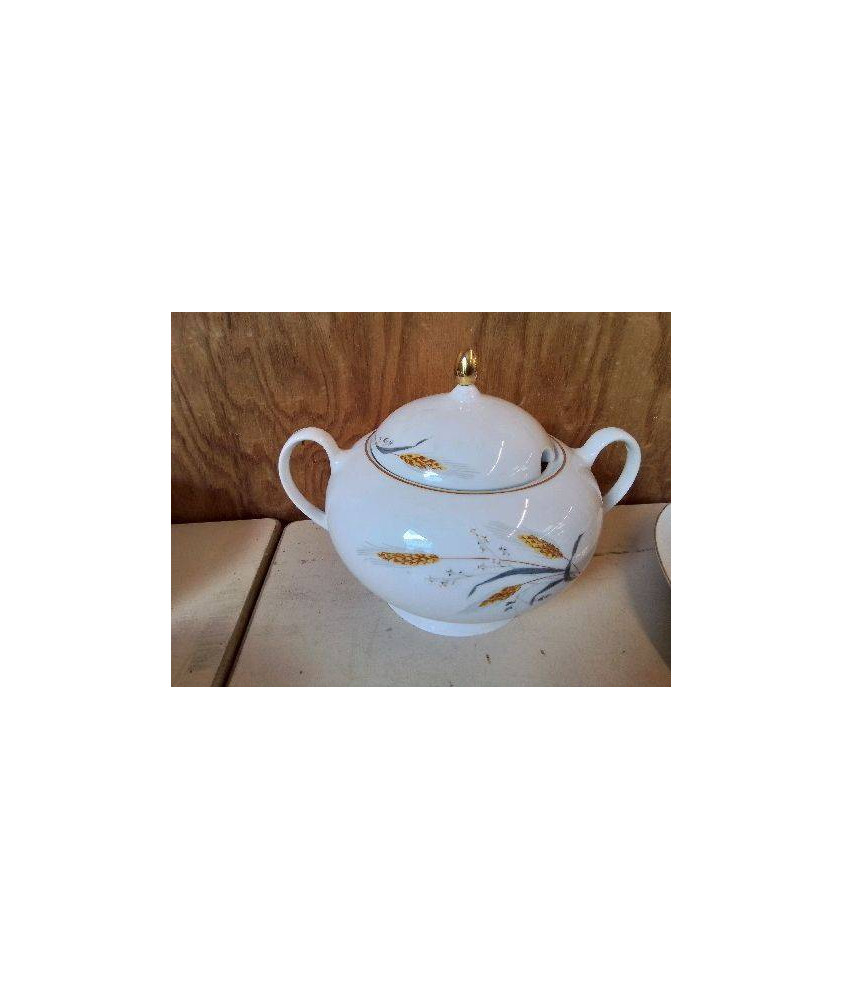 SOUPIERE EN PORCELAINE 