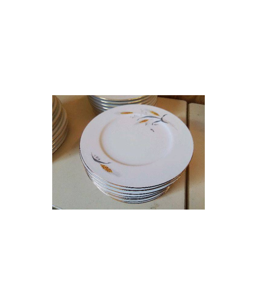 LOT DE 12 ASSIETTES A DESSERT  EN PORCELAINE 