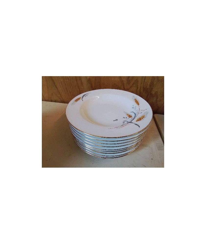 LOT DE 9 ASSIETTES CREUSES EN PORCELAINE 