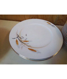 LOT DE 6 ASSIETTES EN PORCELAINE 
