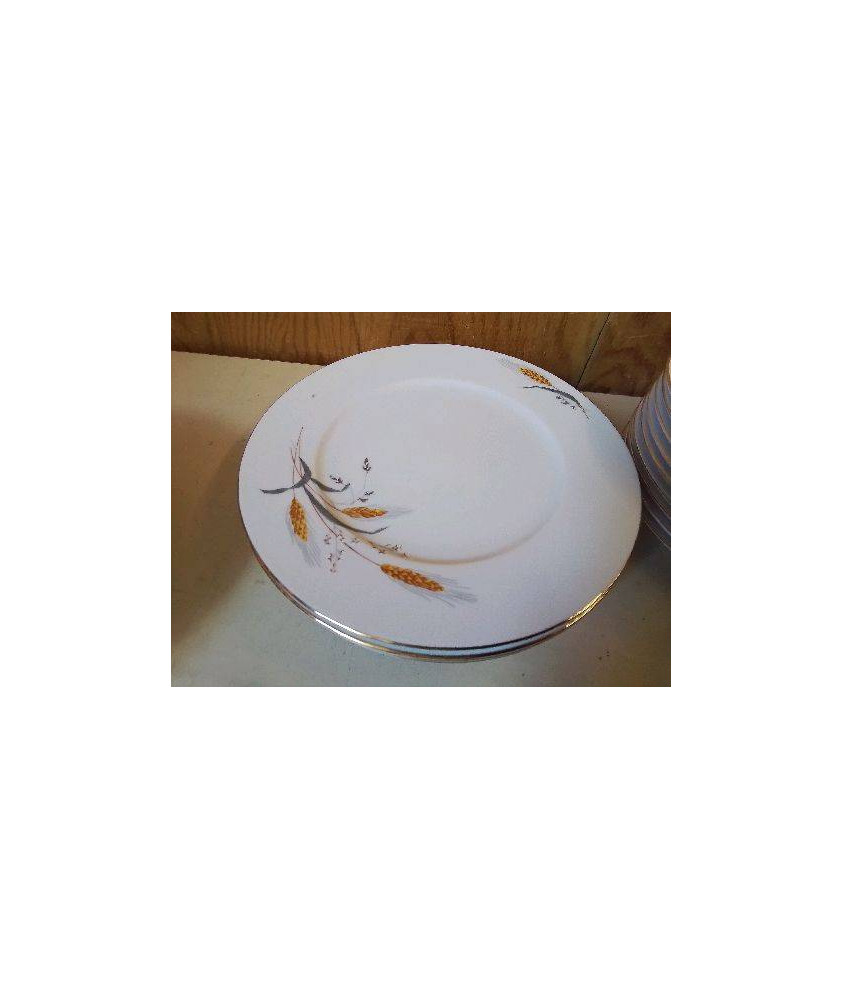 LOT DE 6 ASSIETTES EN PORCELAINE 
