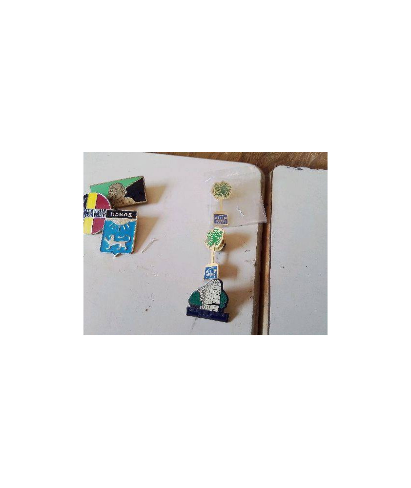 PINS VICHY