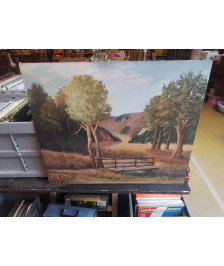 PEINTURE SIGNEE 60X50