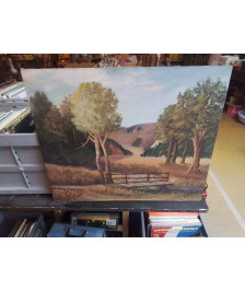 PEINTURE SIGNEE 60X50