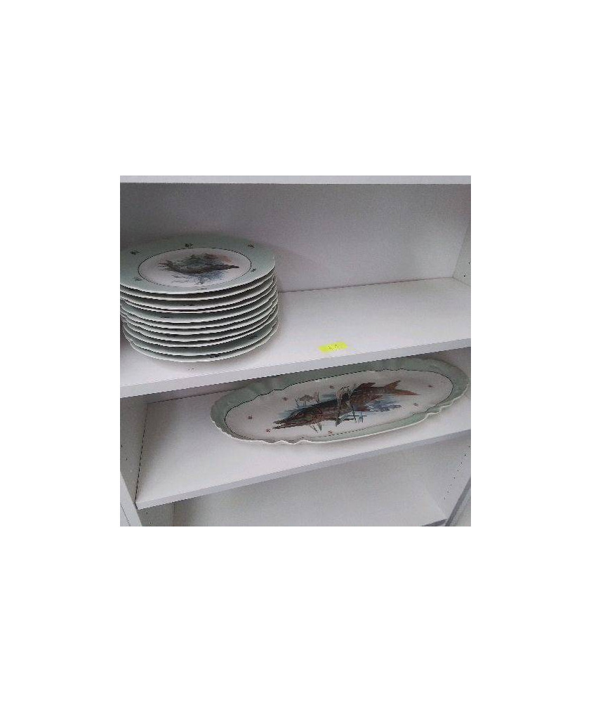 SERIE DE 10 ASSIETTES ET UN PLAT