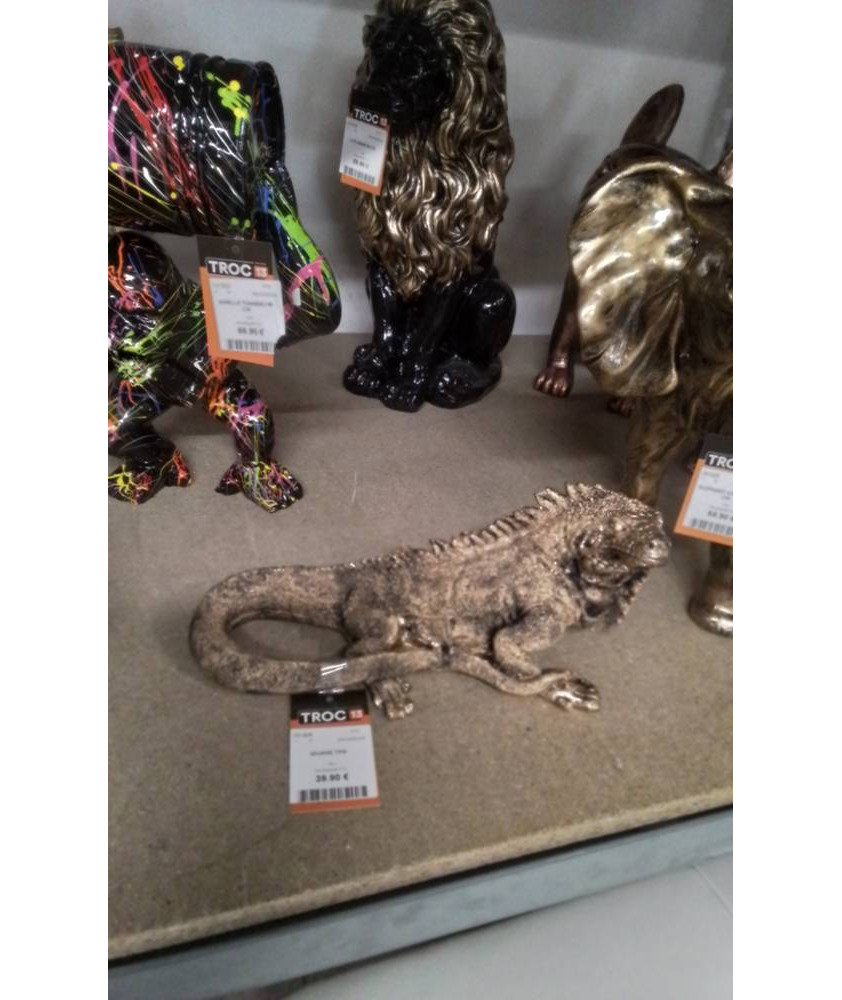 IGUANE TPM