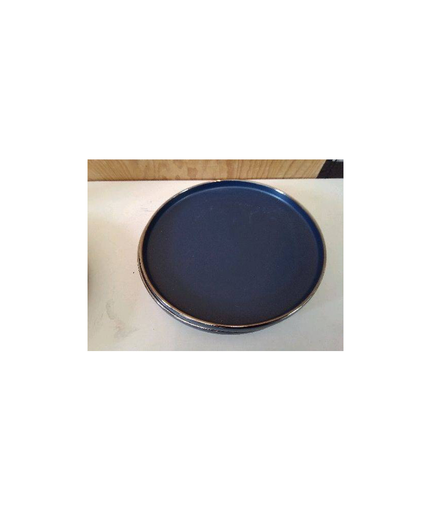LOT DE 6 ASSIETTES PLATES