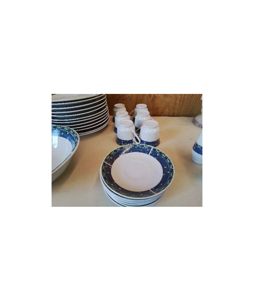 TASSE ET SOUCOUPE MOTIF FLEURS BLEU 