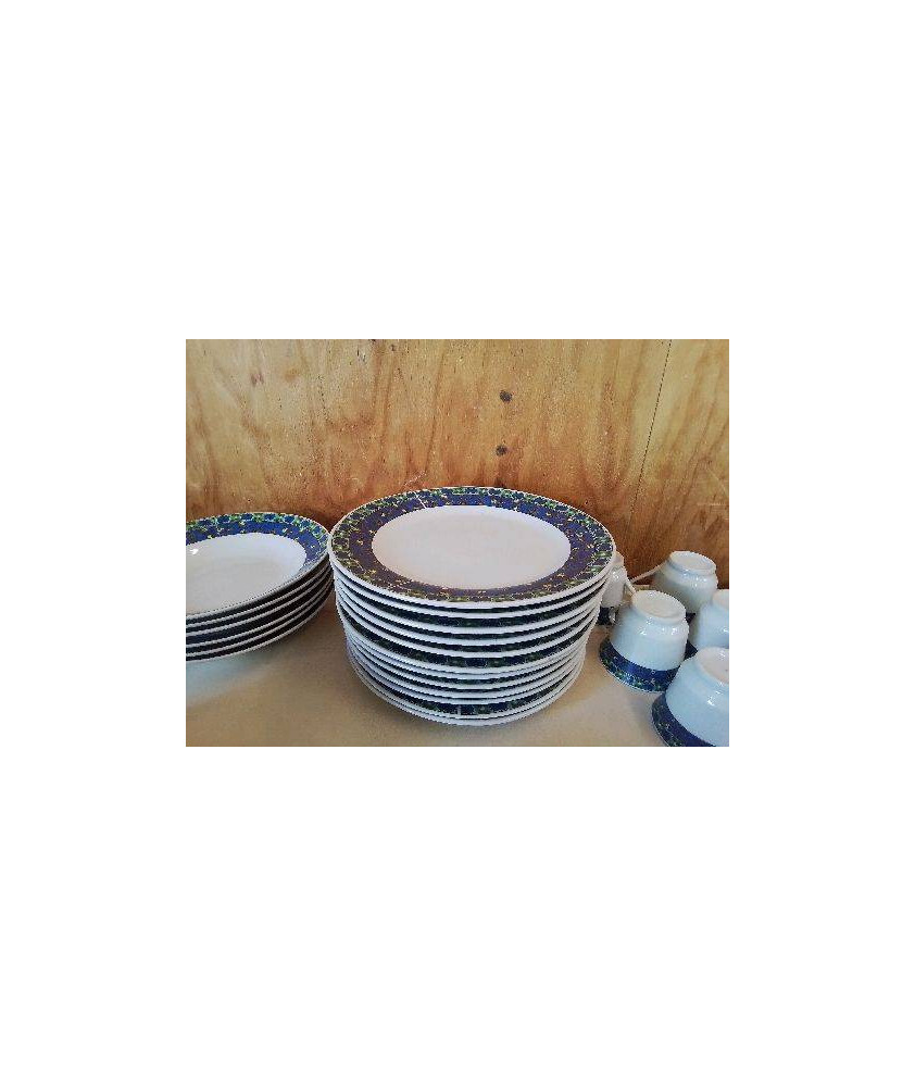 LOT DE 6 ASSIETTES PLATES MOTIF FLEURS BLEU 