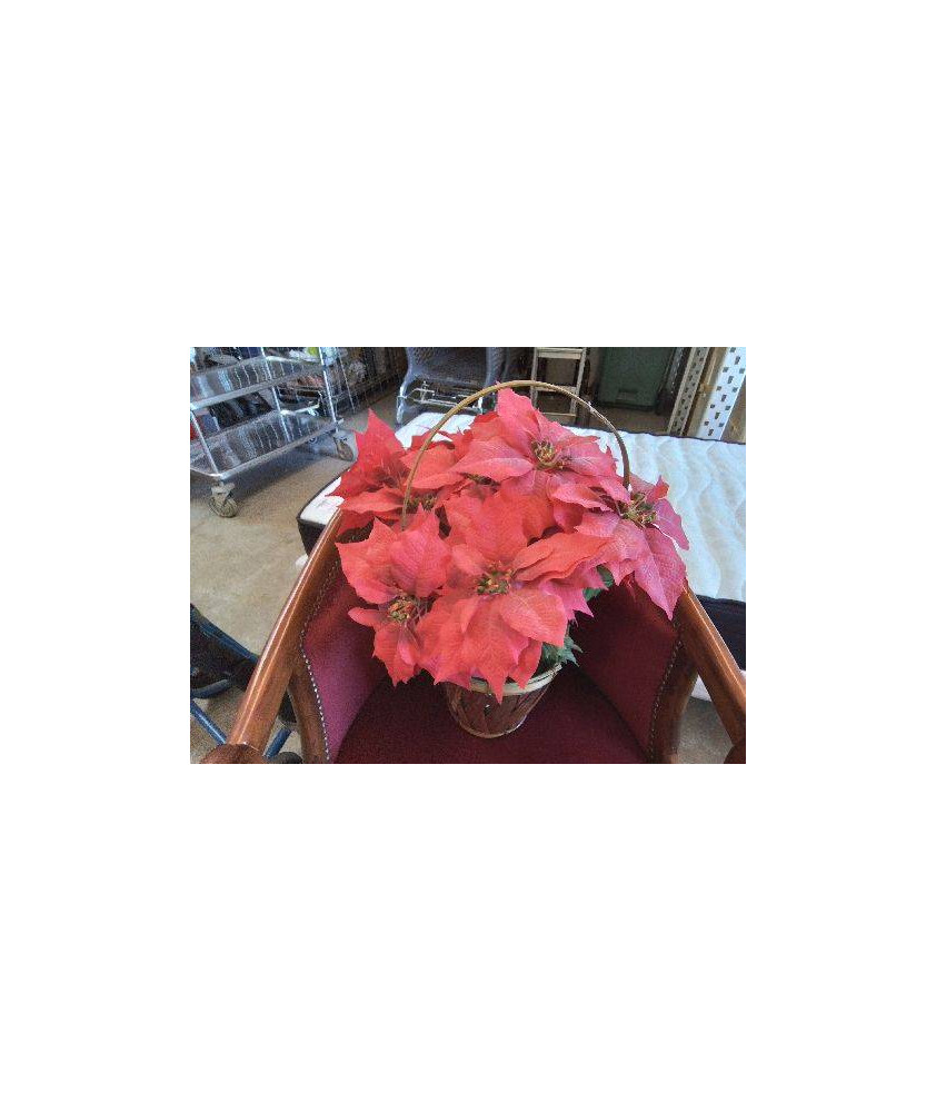 PANIER À FLEURS 