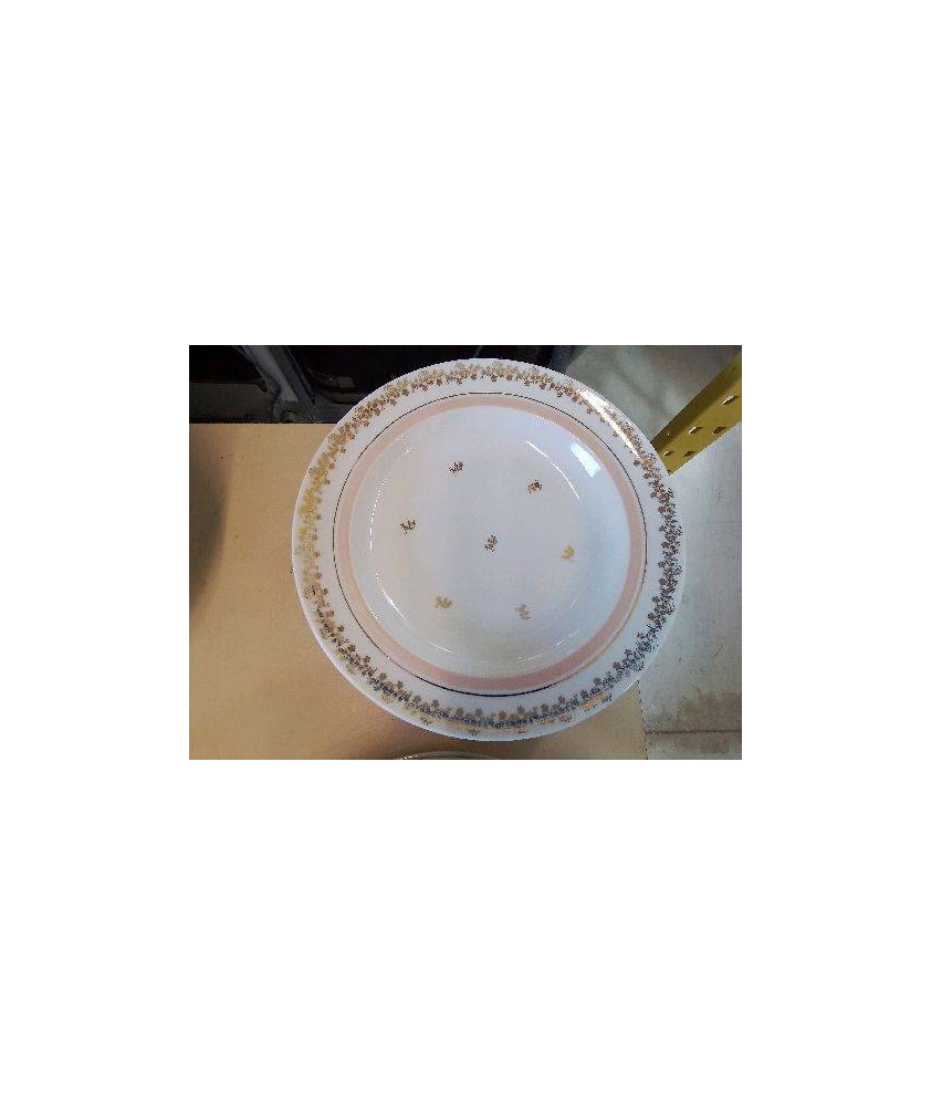 LOT DE 5 ASSIETTES EN PORCELAINE 