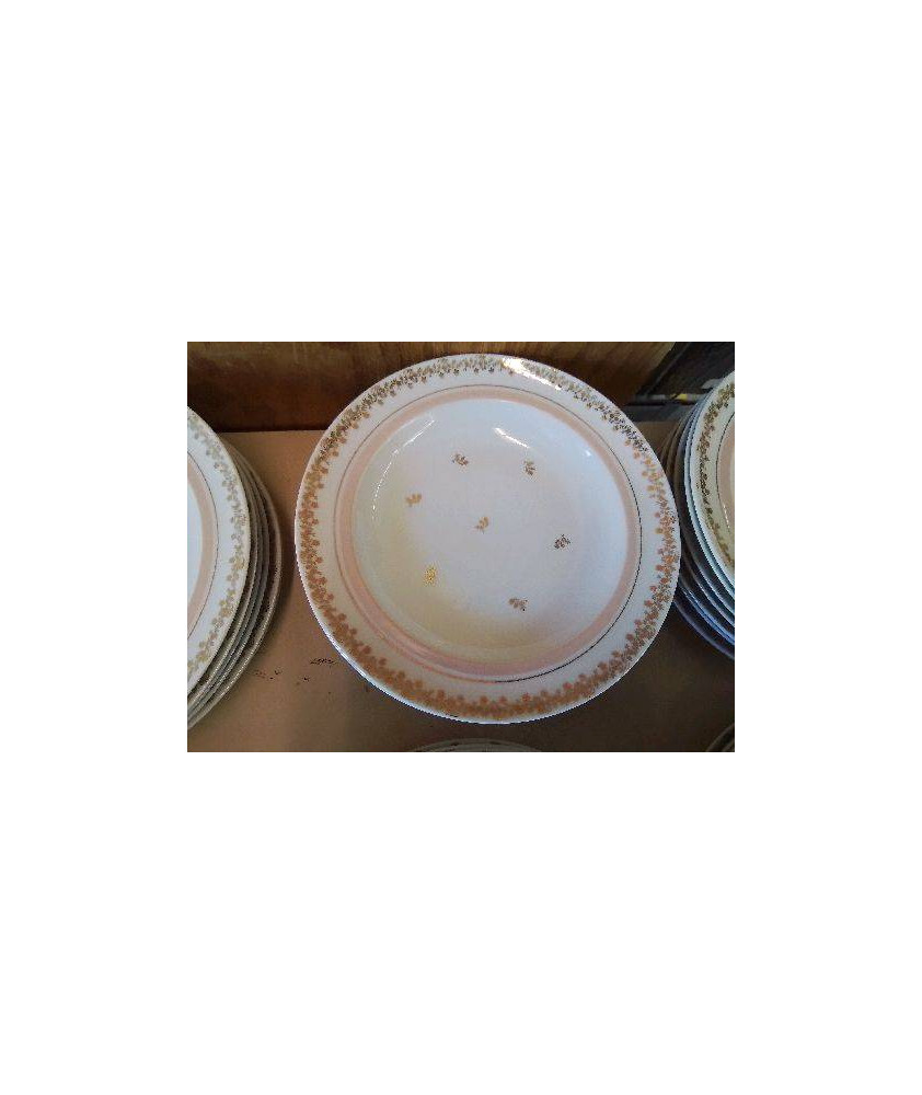 LOT DE 6 ASSIETTES EN PORCELAINE 