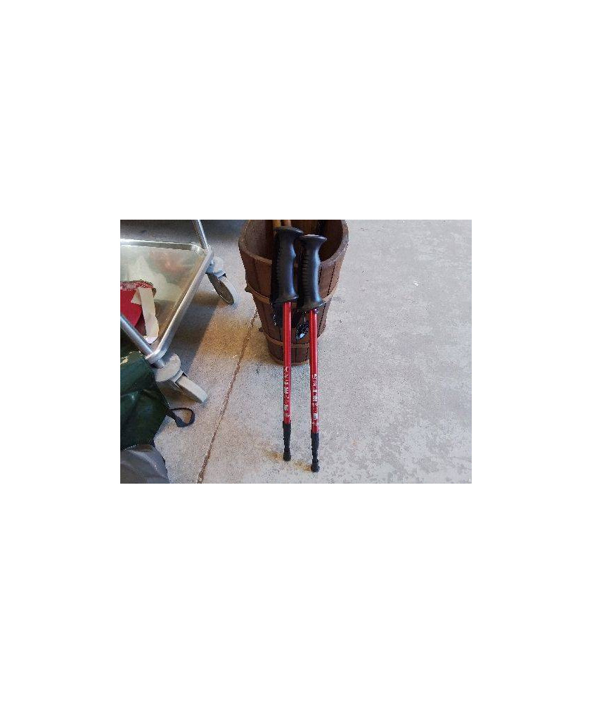 PAIR DE BATON DE RANDONNÉE 