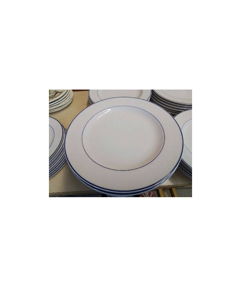 LOT DE 6 ASSIETTES EN PORCELAINE 