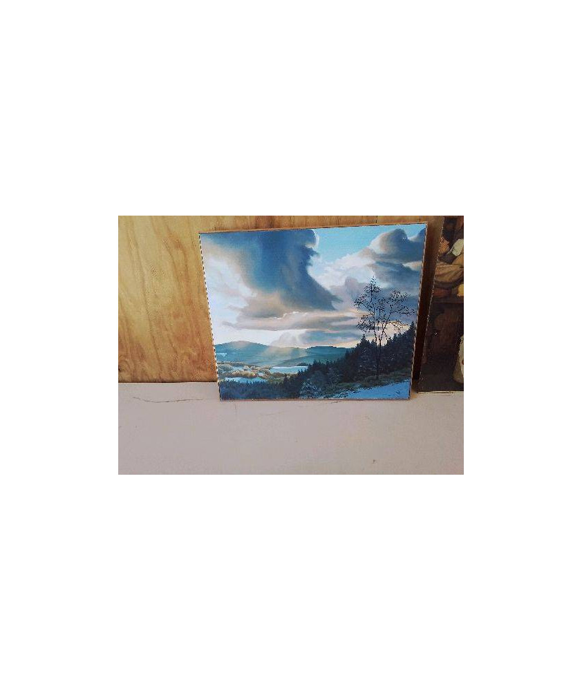 TOILE PAYSAGE