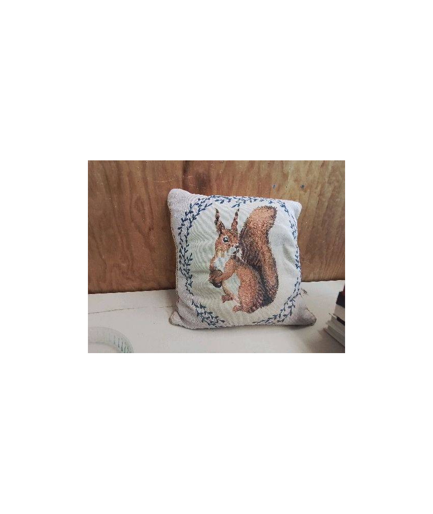 COUSSIN ECUREUIL