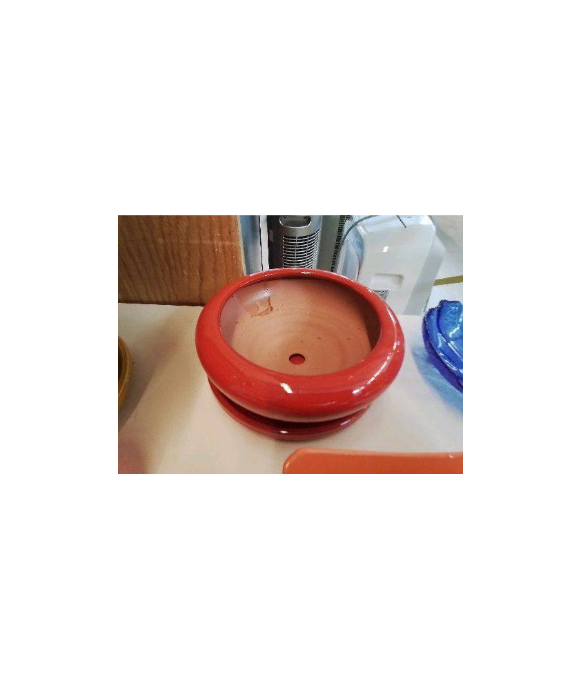 POT À BONZAI 