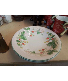 DUO ASSIETTES CREUSE MOTIF FLORAL 