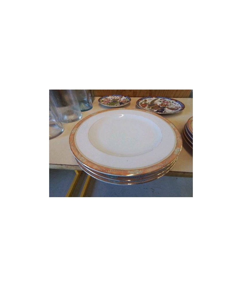 LOT DE 4 ASSIETTES PLATES PORCELAINE 
