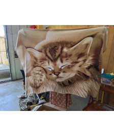 PLAID CHATON