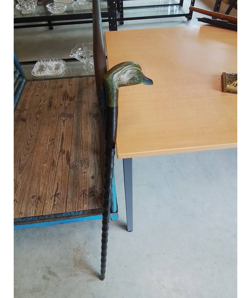 CANNE BOIS AU CANARD