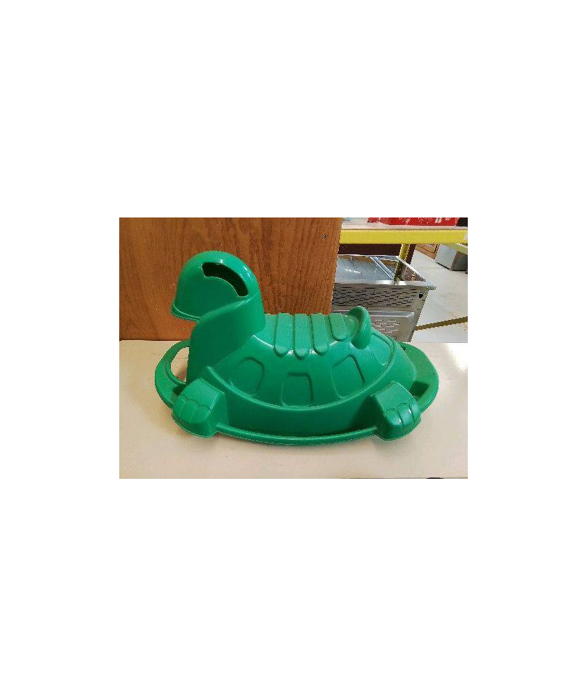 TORTUE VERTE 