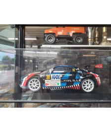 MINIARURE ALPINE 