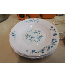LOT DE 5 ASSIETTES BLEU MOTIF FLORAL 