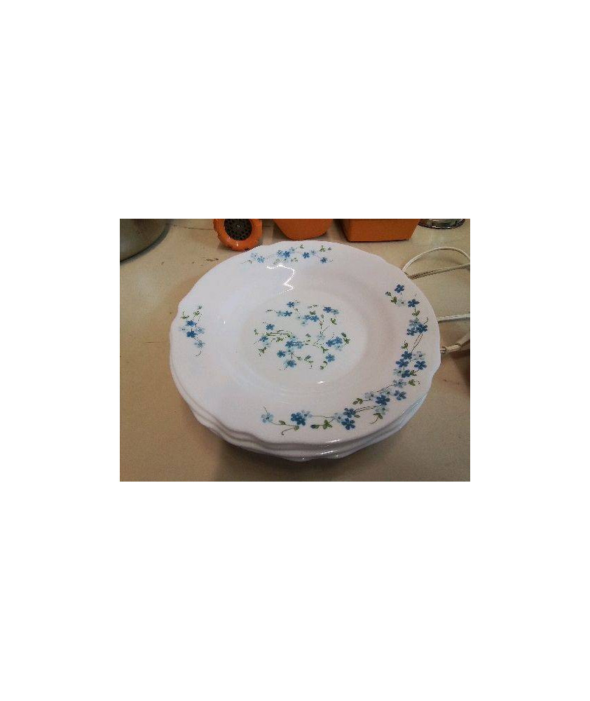 LOT DE 5 ASSIETTES BLEU MOTIF FLORAL 