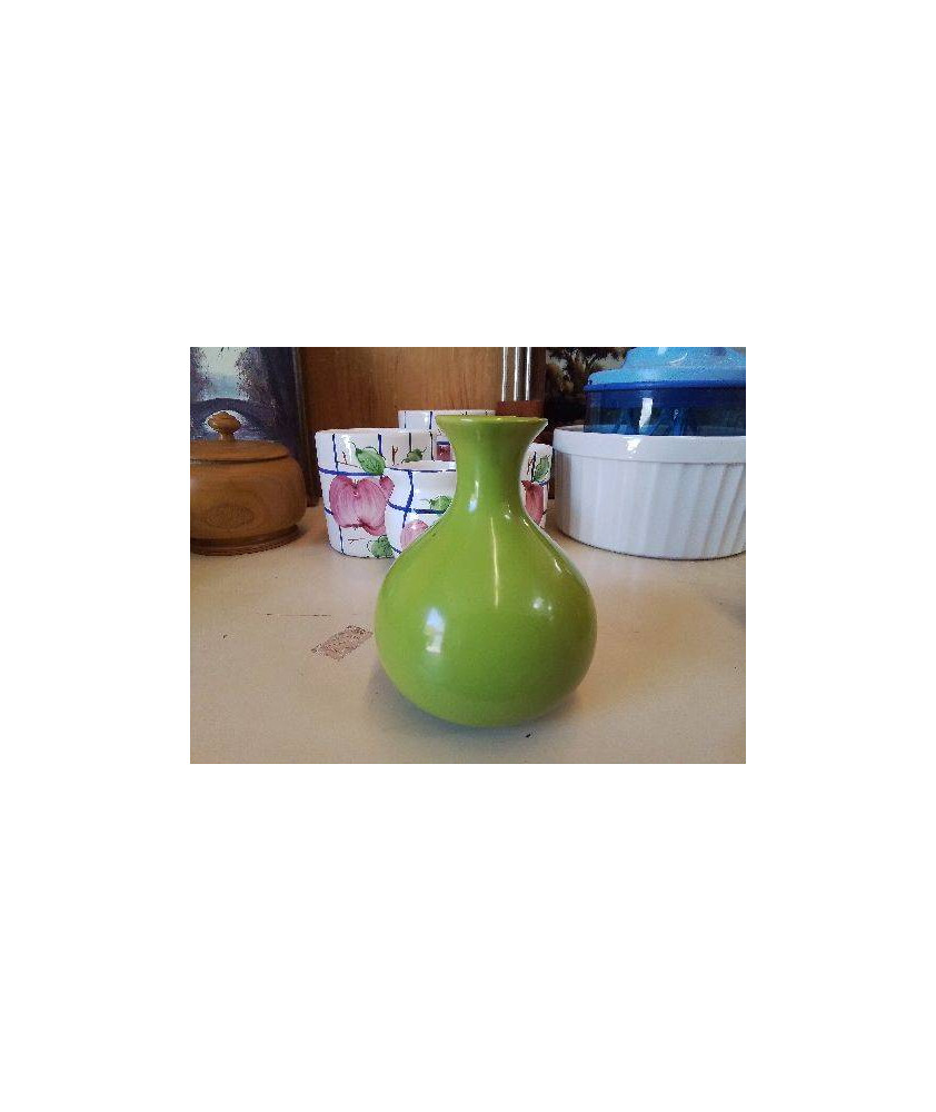 SOLIFLORE VERT 