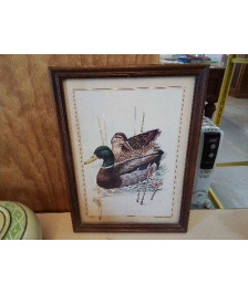 CADRE DECO CANARD 