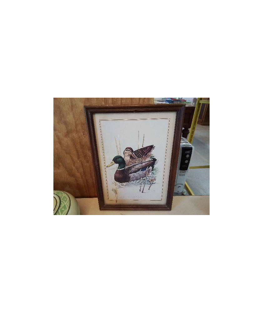 CADRE DECO CANARD 