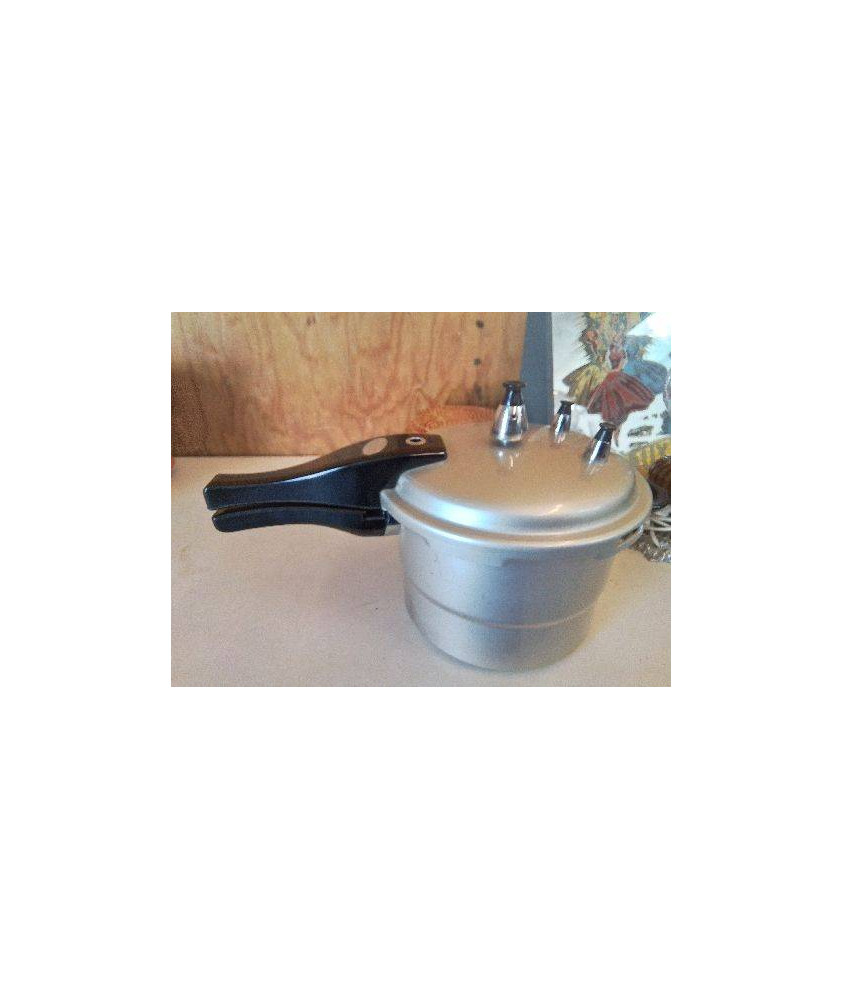 PETITE COCOTTE À VAPEUR