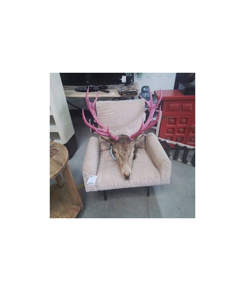 TETE DE CERF BOIS ROSE 