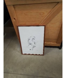 ENCRE CHEVAL CABRE 47X64