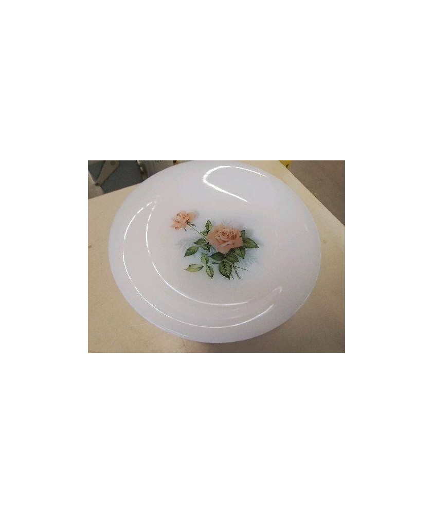 LOT DE 4 ASSIETTES EN ARCOPAL 