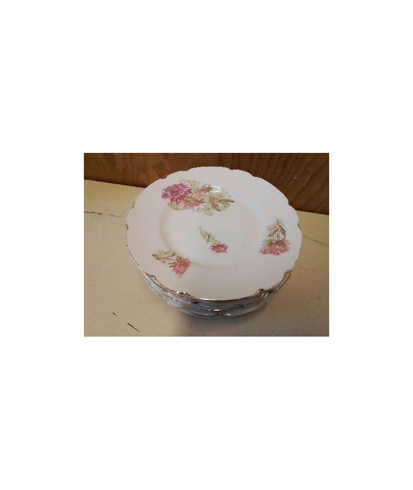 LOT DE 5 ASSIETTES A DESSERT 