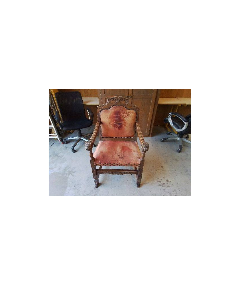 FAUTEUIL ACCOUDOIR TETE DE LION 
