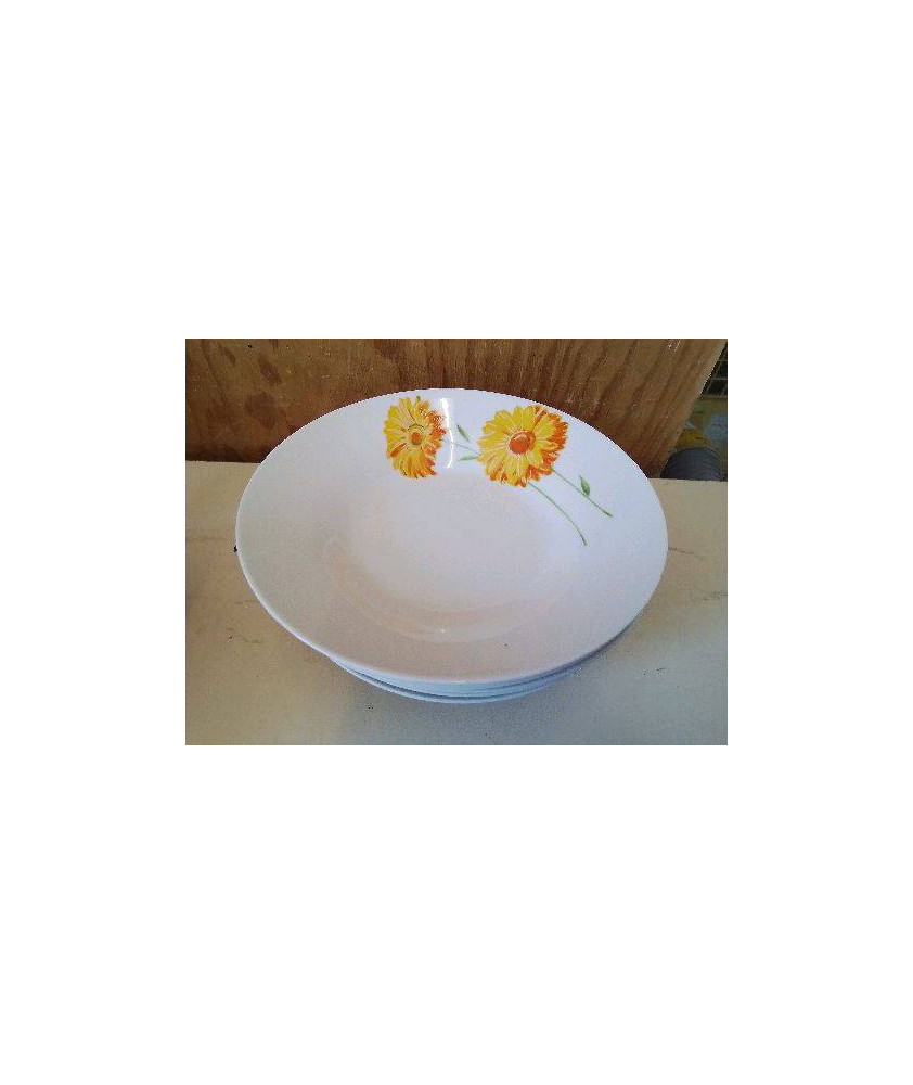 LOT DE 6 ASSIETTES CREUSES