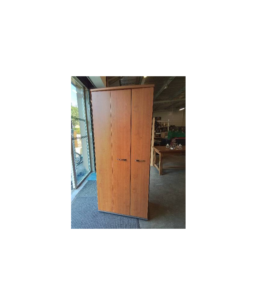 ARMOIRE DE BUREAU BOIS 2 PORTES 79X180X46